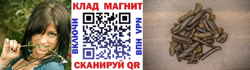 Где можно купить наркотики Талица ГАШ  МЕТАМФЕТАМИН  Мефедрон  A-PVP  Марихуана  Кокаин 
