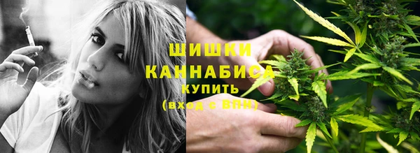 PSILOCYBIN Аркадак