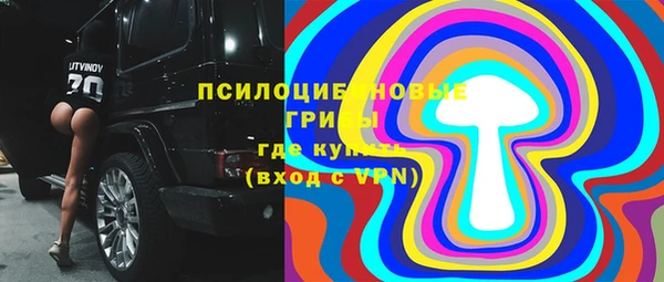 PSILOCYBIN Аркадак