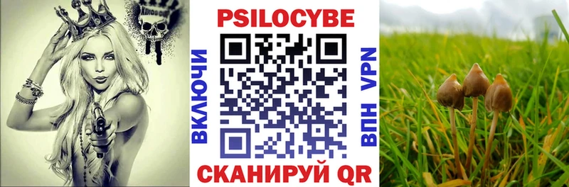 Галлюциногенные грибы Psilocybine cubensis  Талица 